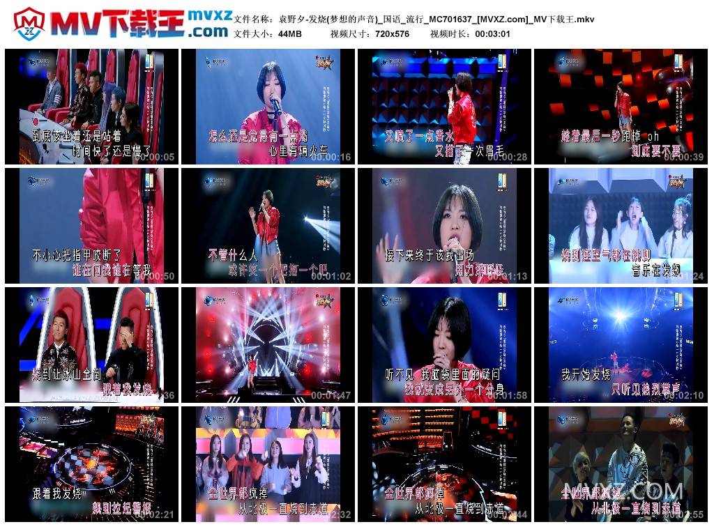 袁野夕-发烧(梦想的声音)_国语_流行_MC701637